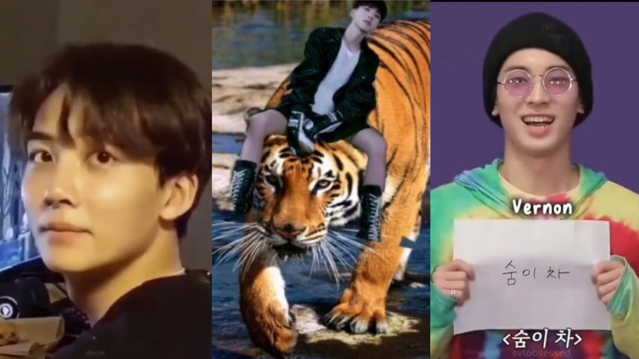 Seventeen Funny Tiktoks because We're going to have a comeback🤗💎 #seventeen #kpop #kpopfunny