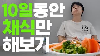 한국에서 채식주의자로 살기 줜나 힘들다