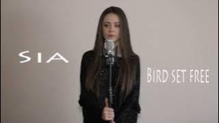 Sia - Bird set free | Daria T - Cover