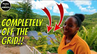 Exploring Animal Farm & Nature Reserve in JAMAICA