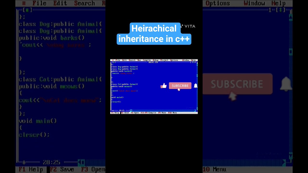 Heirachical Inheritance In C Ccoding 123 Codingshorts