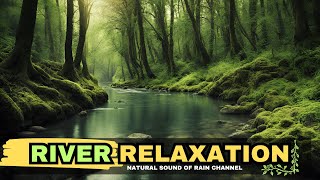 Flowing Euphony 🌾 River ASMR for Restful Sleep, Surrender to the Calming Whispers of Water