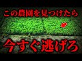 【立入禁止】危険生物に襲われるインドネシア最恐の農園