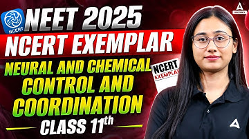Neural Control and Chemical Coordination Class 11| NEET 2025| NCERT Exemplar Questions| Bharti Singh