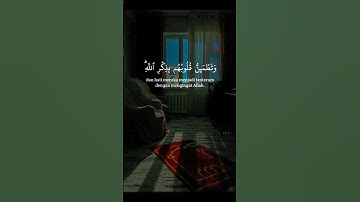 قراءه هادئة بصوت الشيخ سعد الغامدي #قران_كريم #اكسبلور #لايك #القران #تلاوة_هادئة #hazzaalbalushi