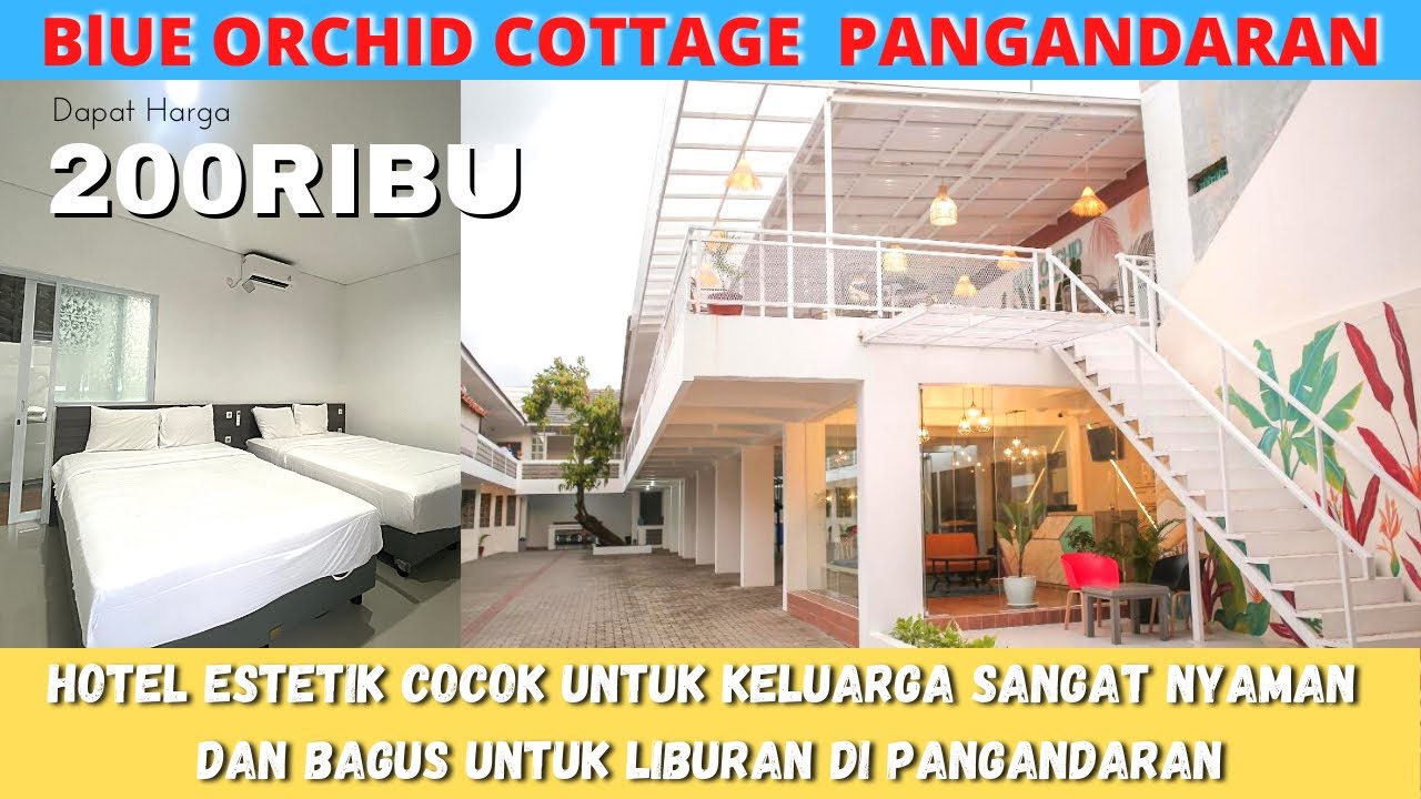 REKOMENDASI HOTEL MURAH ESTETIK COCOK BUAT KELUARGA DI PANGANDARAN BLUE ORCHID COTTAGE