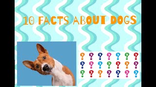 10 Jaw-Dropping Facts About Dogs