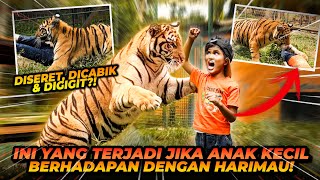 ANAK KECIL INI BERANI MASUK KANDANG HARIMAU ?! TEONA LANGSUNG MENYERGAP !!