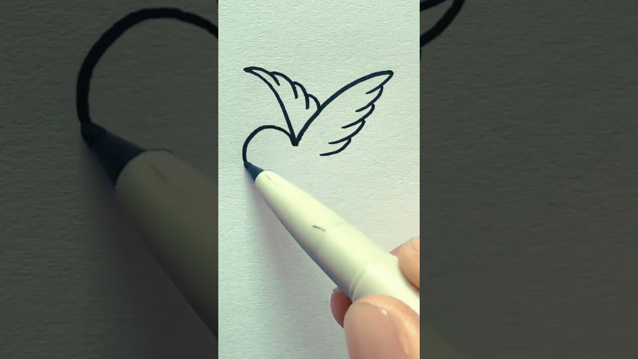 Drawing Sparrow 