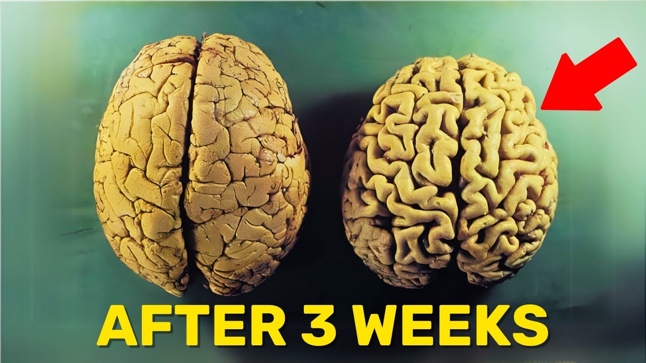 Take This Supplement for 3 Weeks and This Will Happen to Your Brain
