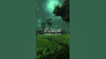 تلاوة خاشعه للشيخ ياسر الدوسري #اكسبلور_نفحات_قرآنيه #اكسبلور #قرآن