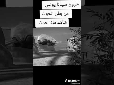 خروج سيدنا يونس من بطن الحوت