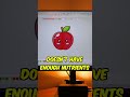 Kawaii Apple Embroidery