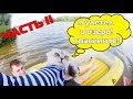 С котом вход разрешен! | Кевин улетел в озеро! Потеряли кота?