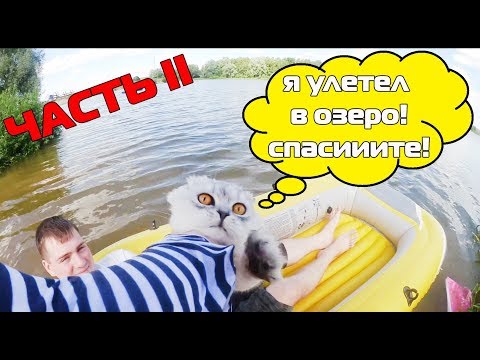 Видео: В озере Эльсинор разрешено проживание с собаками?
