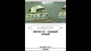 📖 Аль-Бакара 🎙 Чтец - بندر بليلة | Bandar Balilah