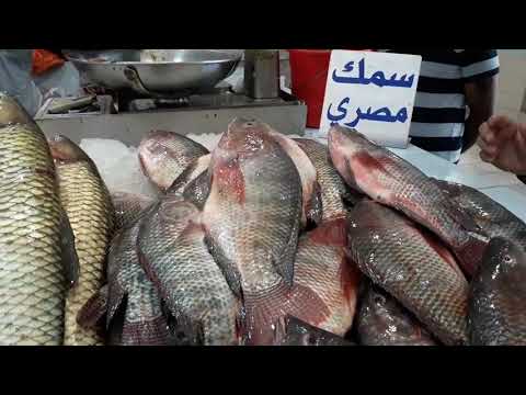 البر لس سمك مصري
