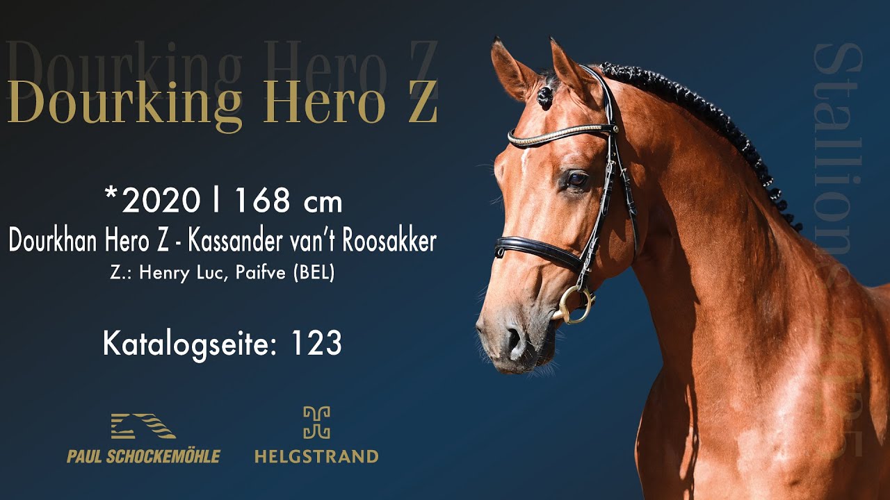 Dourking Hero Z - YouTube