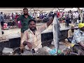 Big Flying Kola Fish Cutting& Chopping in Kasimedu Fish Market