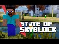 The current state of hypixel skyblock minecraft