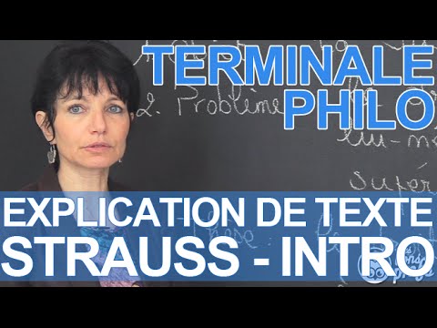 explication-de-texte,-strauss-:-introduction---philosophie---terminale---les-bons-profs