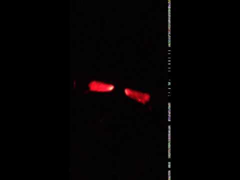 IMG 23611