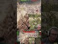 KV 2 regelt