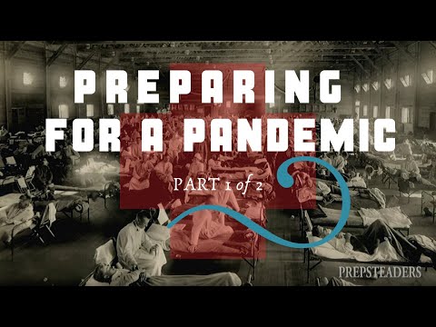 HOW TO PREPARE FOR A PANDEMIC - Part 1 - Supplies and Planning