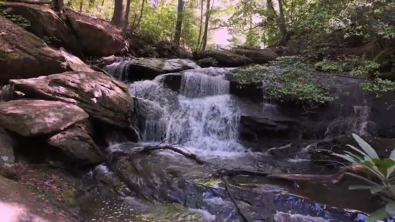 Alpenrose Estate - Suches, Georgia