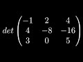 Compute the Determinant of the 3 x 3 Matrix by Using Properties (One Row is a Multiple of Another)