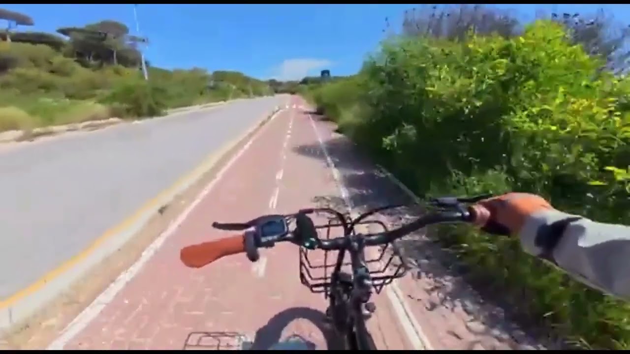 Kickwey LD20 Adult Electric Bike 1500w 32MPH 48V20ah Mountain Ele