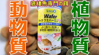 【餌】ブライン＆スピルリナが強化配合された底棲魚専門の味を確かめたい！テトラウエハーミニミックス１３０ｇ【ふぶきテトラ】