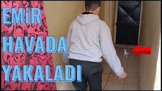 Kaçak Şeytan Tepe Güvercin Yine Geldi ( Havada Yakaladım )