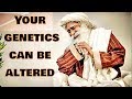 Sadhguru - Your genetics might be changed within a matter of 3 to 9 months!