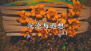 C.HØPE - 沉沦与遐想 Speed Up 1.1