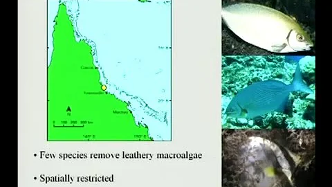 Andrew Hoey - Does biodiversity confer a degree of...