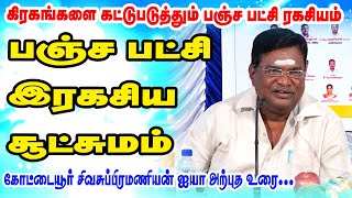 கிரகங்களை கட்டுப்படுத்தும் பஞ்ச பட்சி  A TO Z ரகசியம் | ரகசியம் உடைக்கும் ஜோதிடர் | ONLINE ASTRO TV