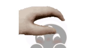 PET THE STEREO (idk :p )