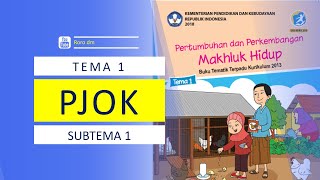 PJOK || KELAS 3 TEMA 1 SUBTEMA 1