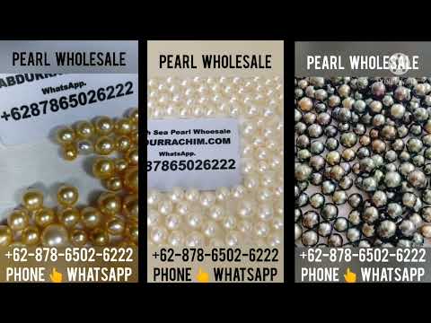 Perlas sa Habagatang Dagat Indonesia phn/WA: +62-878-6502-6222 pearl wholesale(4)