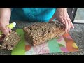 Pan integral artesanal con múltiples granos, semillas y cereales | Brown bread with seeds