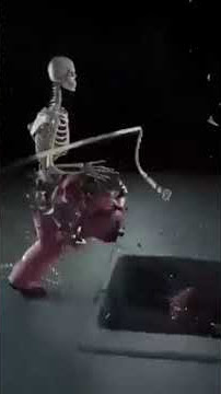 Mengejar Dunia - Animasi