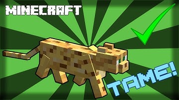 MINECRAFT | How to Tame an Ocelot! 1.15.1