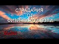 Страдания от физической боли [Муджи, озв.Никошо]