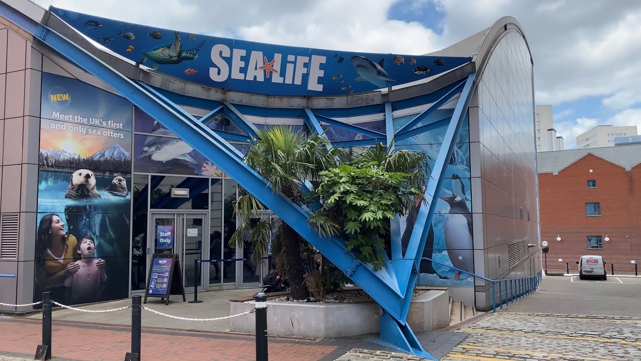 Видеоблог Sea Life Centre Birmingham, 12 июня 2022 г.