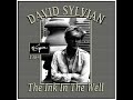 David sylvian  the ink in the well 1984