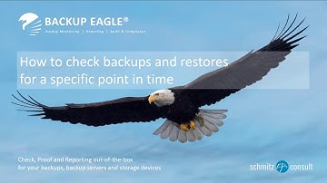 Check the status of backups and restores for a specific point in time in BACKUP EAGLE®
