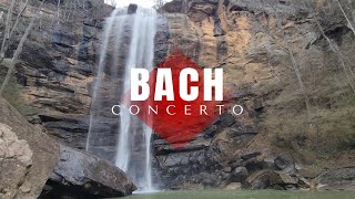 Bach Violin Concerto in A minor