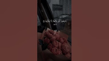 القرآن الكريم بصوت جميل استمع لا تهرب 🤍🎧