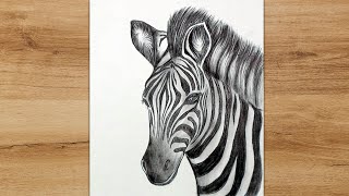 How to Draw a Zebra Head Step by Step |Realistic Zebra Drawing